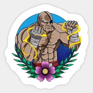 street fighter Sticker